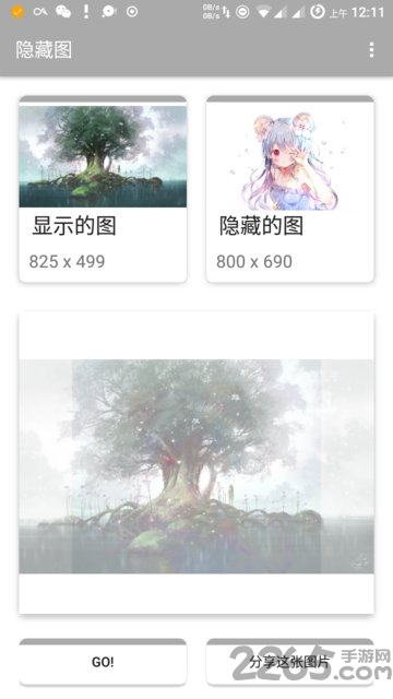 隐藏图app