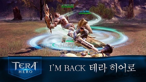 tera hero国际服