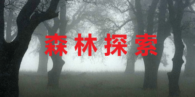 森林探索游戏