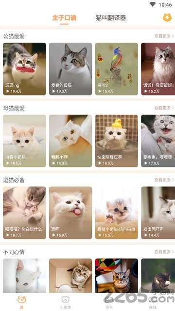 逗猫咪软件