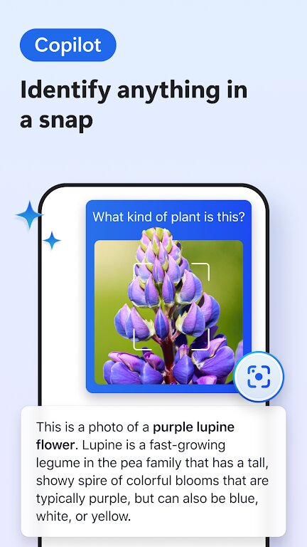 Edge Canary浏览器for Android