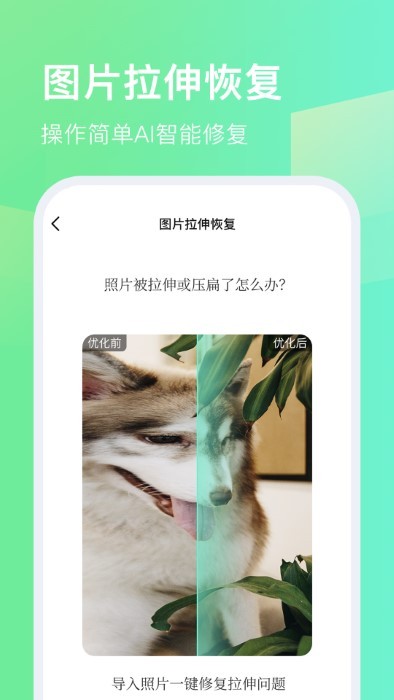 今日拍摄水印相机官方下载