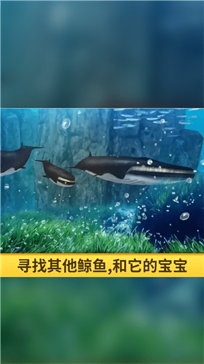 海洋3d蓝鲸模拟手机版