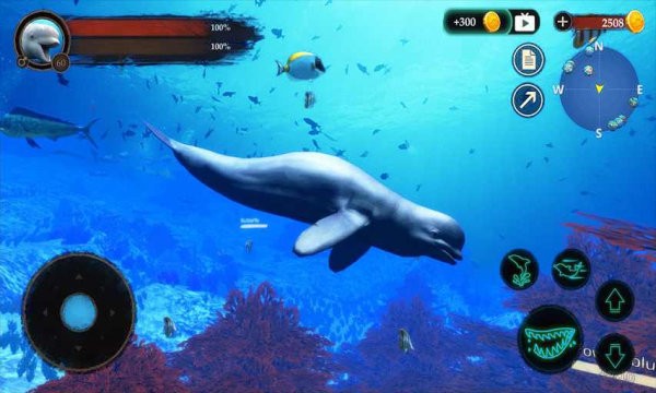 白鲸模拟器游戏(the beluga whale)