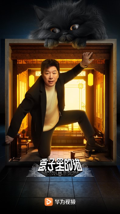 华为视频app官方