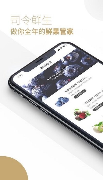 卢司令app