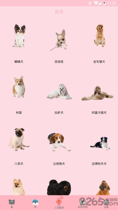 喵喵转换软件