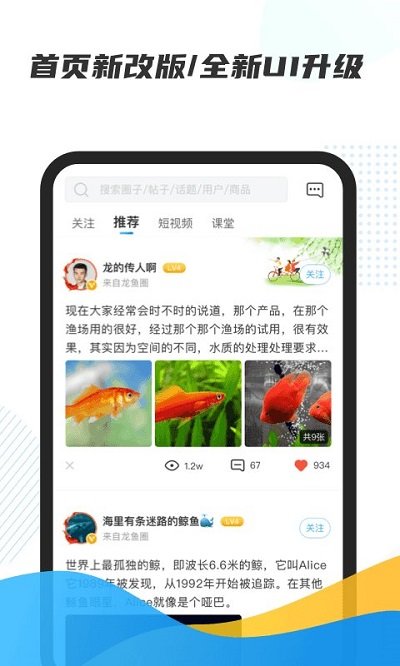 龙巅鱼邻最新版本
