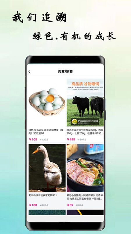 鹦鹉街app最新版