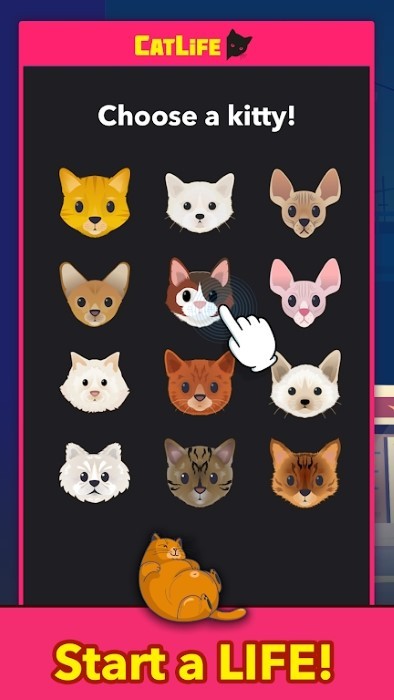 猫生模拟器游戏(catlife)