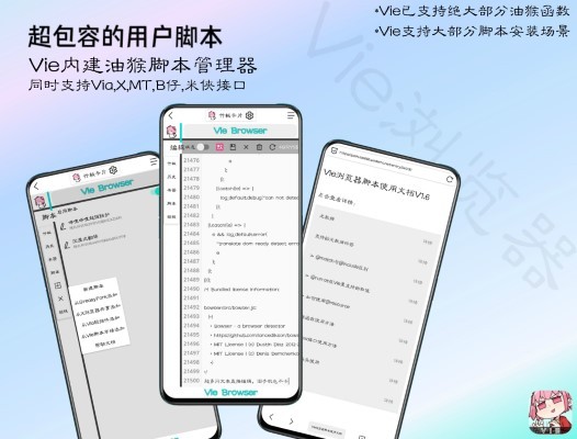 vie浏览器手机版