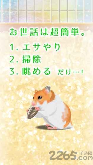 治愈仓鼠养成中文破解版