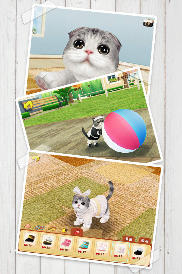 心动小猫最新版