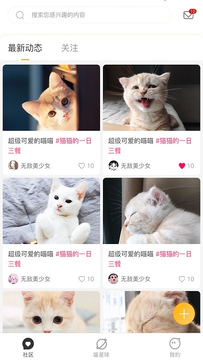 云养猫app 云养猫安卓版下载
