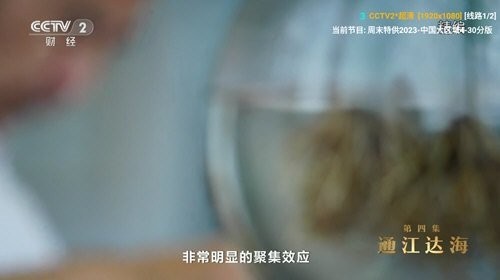 v3tv手机版下载