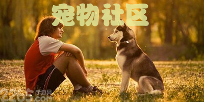 宠物社区app
