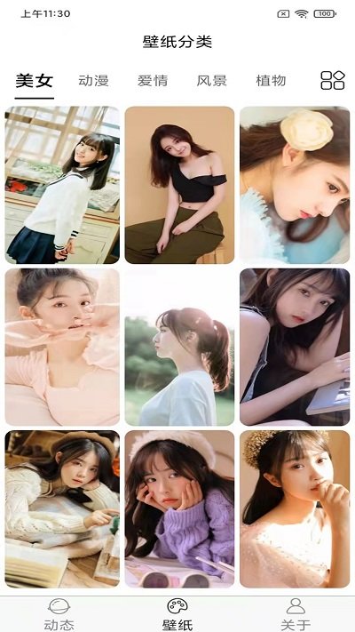 飞花动态壁纸app