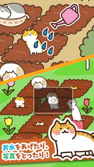 猫咪田园2.3破解版