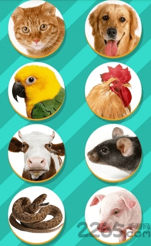 长须猫app
