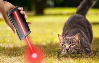 laser for cats官方版 laser for cats官方版