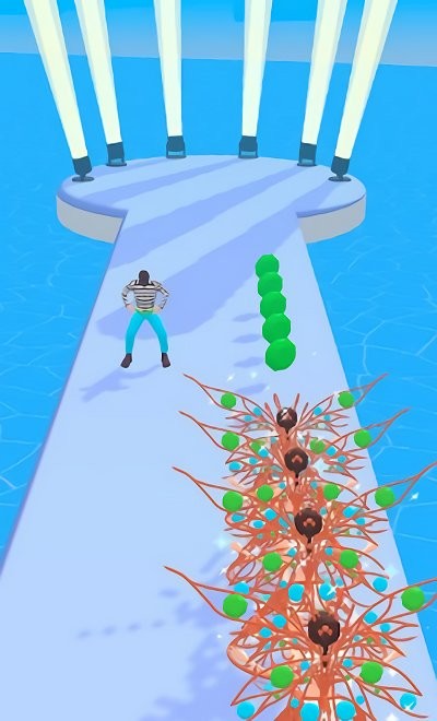 化妆舞会走秀(masquerade run)