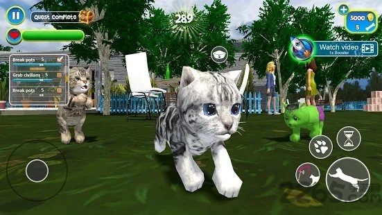 虚拟猫咪模拟可爱小猫游戏 虚拟猫咪模拟器手游下载