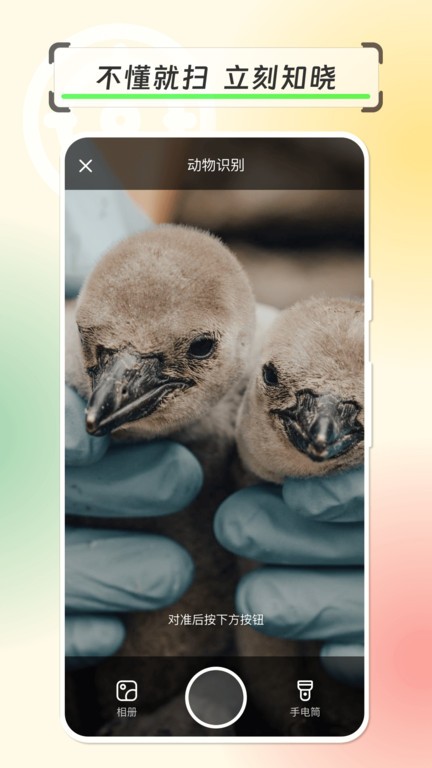 拍物轻松识app