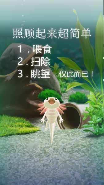 治愈的蝾螈 治愈的蝾螈育成游戏下载