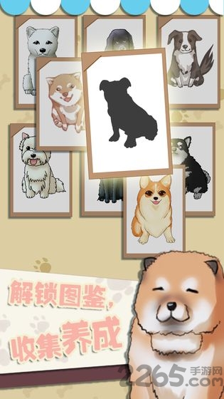 狗狗派对手游 狗狗派对官方版