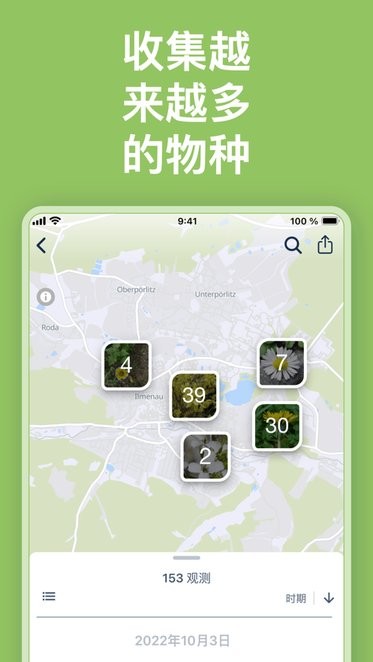 flora incognita app自动植物识别免费版