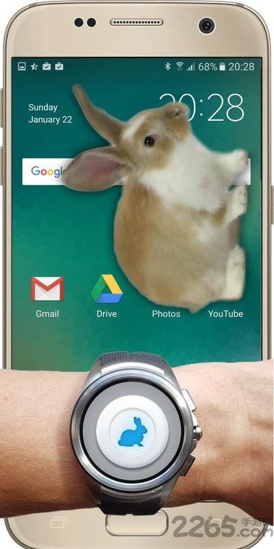 兔子在手机可爱的笑话app 兔子在手机可爱的笑话