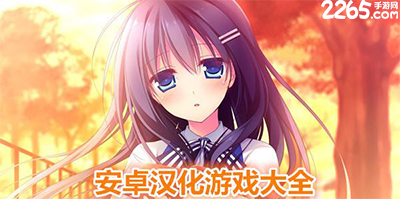 汉化游戏