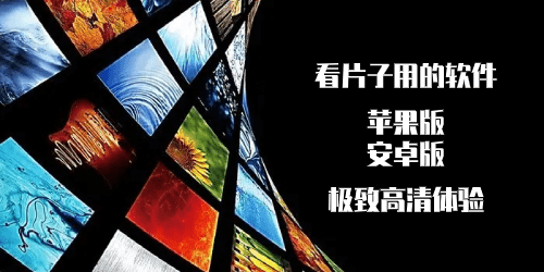 看片子用的app