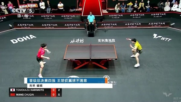 家用电视tv版