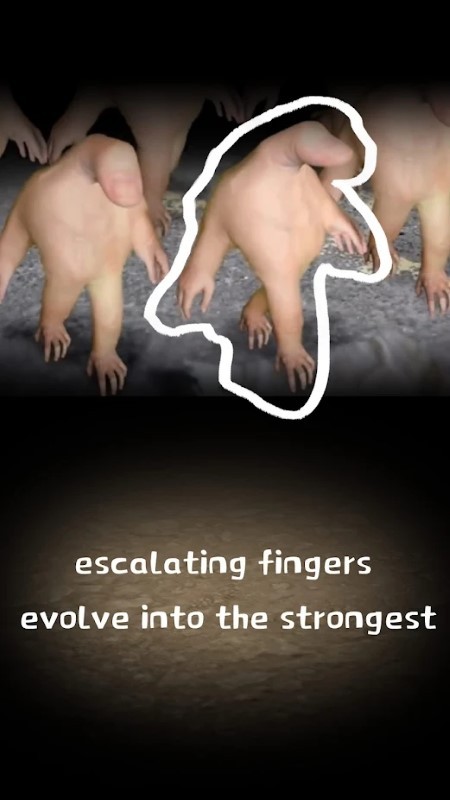 手指进化游戏(evolution fingers)