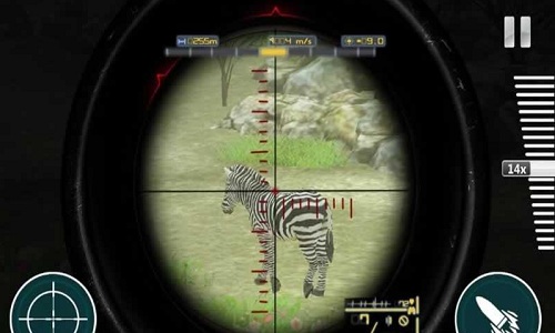 hunting safari手游2019