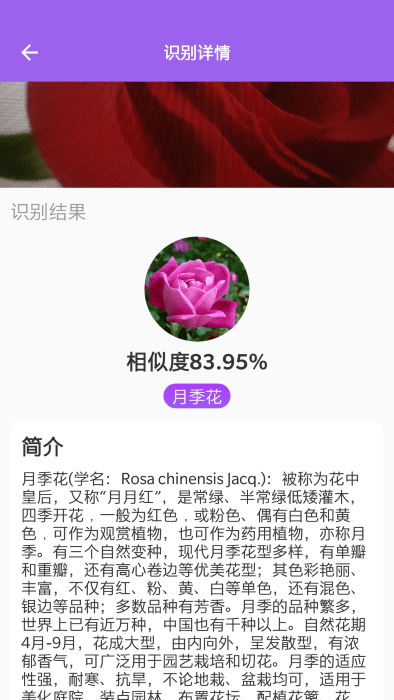 随手拍照识别下载