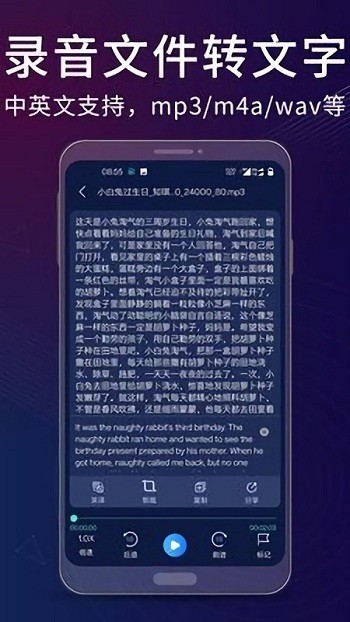 录音翻译助手app
