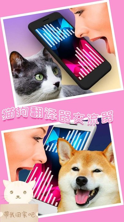 我的猫狗世界交流平台
