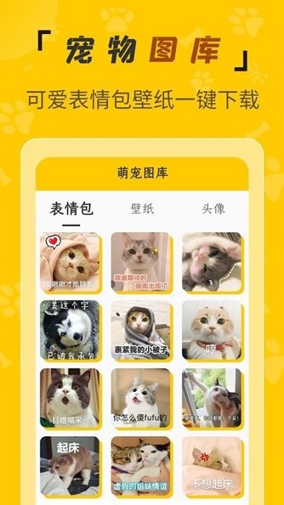 人猫翻译机软件 人猫翻译机免费下载