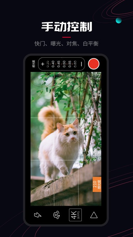 promovie安卓app