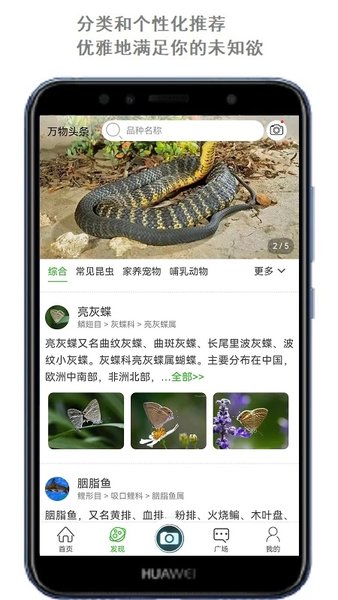 拍照识万物软件(改名万物识别)