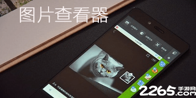 图片查看器