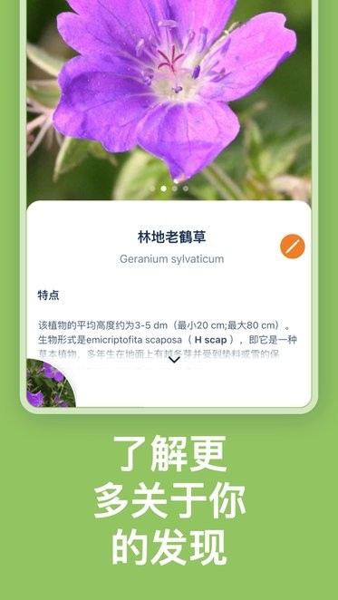 flora incognita app下载