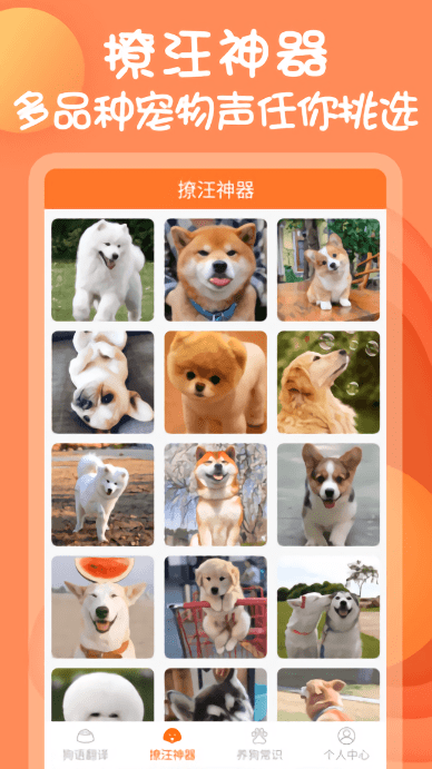 狗狗交流器客户端