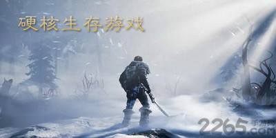 硬核生存游戏