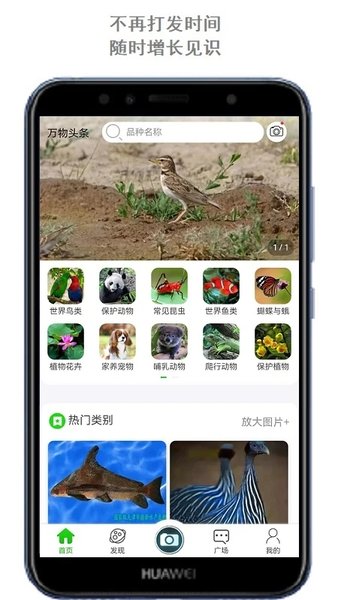 拍照识万物软件(改名万物识别)
