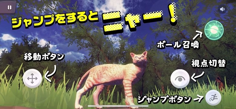 猫的春天游戏