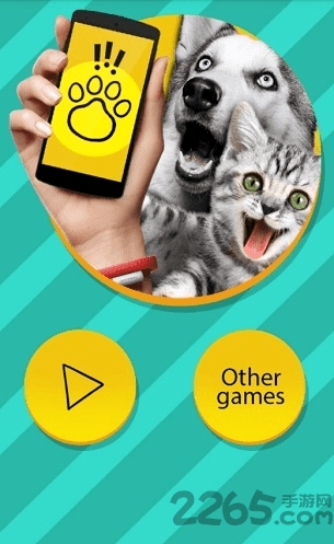 长须猫app