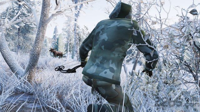 模拟狩猎中文破解版